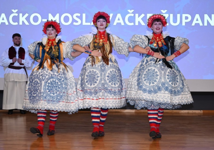 Večer kulture SMŽ okupila 87 udruga iz cijele županije